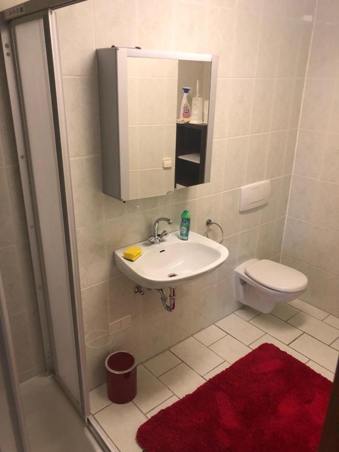 1-Zimmer Apartment, 45 Qm, Im Weinort Neustadt-Duttweiler Neustadt an der Weinstraße 외부 사진