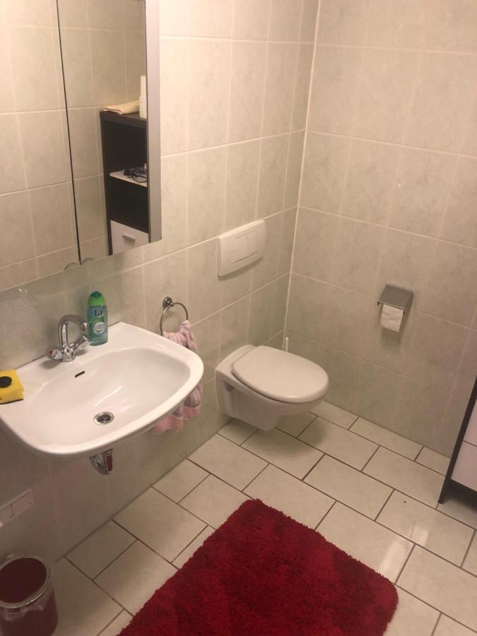 1-Zimmer Apartment, 45 Qm, Im Weinort Neustadt-Duttweiler Neustadt an der Weinstraße 외부 사진